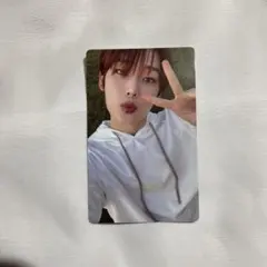 ENHYPEN ソヌ darkblood トレカ weverse album