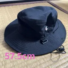 Item thumbnail for item 56ba51a2-e135-47f4-9386-77161717bae1