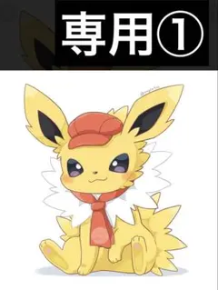 専用①
