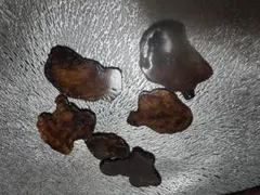 Item thumbnail for item b2342d07-0c98-4230-a9e6-1f011064940c