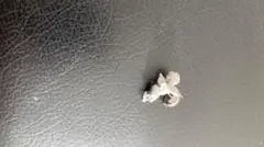 Item thumbnail for item f009f4b2-72ac-4d47-bd84-c100b45901cd