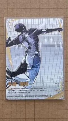 ハイキュー!! 牛島　若利　頂P