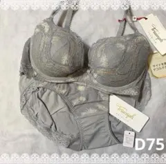 トリンプ　プレミアム　ブラジャー＆ショーツ　D75　新品　匿名配送　グレー系