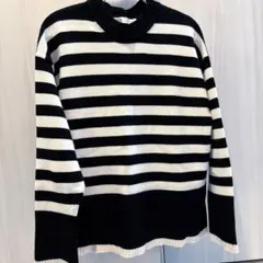 ZARA ボーダーニット