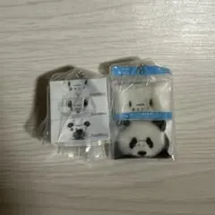 ネピア nepia ミニチュアチャーム ガチャ 鼻セレブ 2種