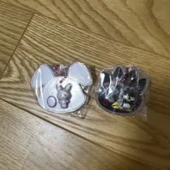 サンリオキャラクターズ　パッケージチャーム