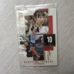バレーボール日本代表 中川つかさ トレーディングカード