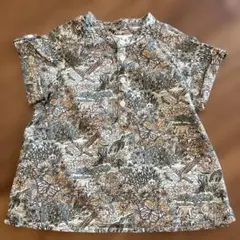 Item thumbnail for item f6c29a25-5c3a-47e6-addf-1ec732df1eff