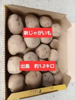 2026年最新】宅急便コンパクトの人気アイテム - メルカリ