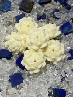 タグアナッツ　アイボリー　ハスの花　6個セット　貫通穴あり