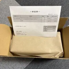 【新品未開封】ポケモンセンター ヒロシマ　スペシャルBOX ヒロシマのピカチュウ