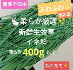 플러피 리미티드 에디션 ✨️ 신선한 목초지, 부드러운 무화과, 박스형 400g, 소형 동물 간식 ⑥