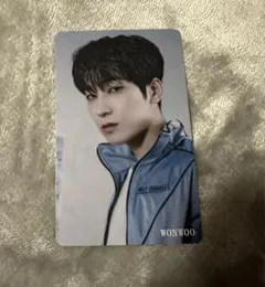 FML HMV トレカ ウォヌ