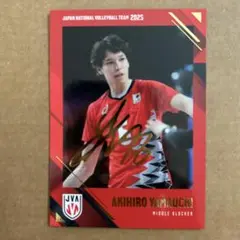 2025年最新】龍神NIPPONトレーディングカードの人気アイテム