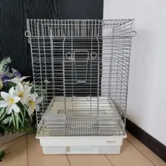 Item thumbnail for item c33efea8-43dd-4073-9cd9-53f9463cb56e