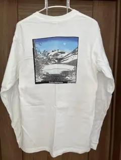 patagonia オーガニックコットンTシャツ Made in USA