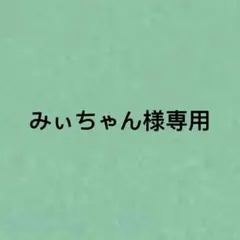 みぃちゃん様専用