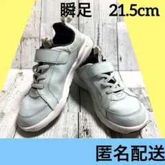 즉석 21.5cm 슌소쿠 색소폰 라이트 블루 초등학생 어린이 익명 배송