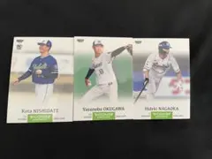 BBM2024 icons 東京ヤクルトスワローズ　レギュラー3枚セット