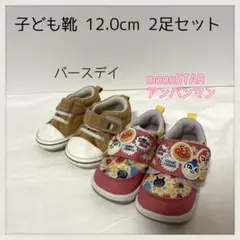 子ども靴 12.0cm 2足セット ムーンスター アンパンマン バースデイ