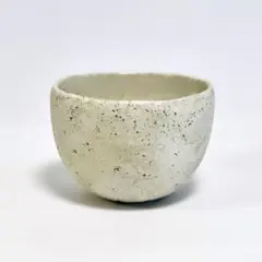 横山秀樹 茶入れ × 内田鋼一 蓋 横山秀樹 茶入れ × 内田鋼一 蓋