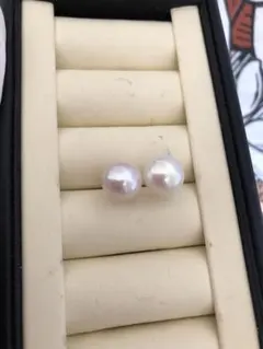 Item thumbnail for item 5eb0b208-1001-4d75-95ba-d32562e84dcc