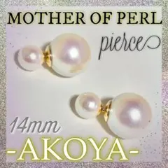 Item thumbnail for item 7b14dae7-e386-4647-8821-3a677d5a257f