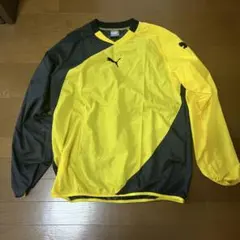 Item thumbnail for item e9847416-3a0a-4524-9eae-70630e50bd61