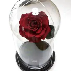 ⭐️美品‼️ プリザーブドフラワー ダイヤモンドローズ 赤 レッド