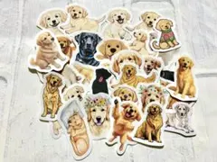 Item thumbnail for item b0df97e7-2a2f-4db9-8112-74b41622e2f3