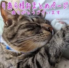 りあら様おまとめページ