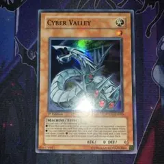 モンちゃん@まとめ買い歓迎様 リクエスト 2点 まとめ商品