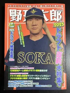 野球 趣味