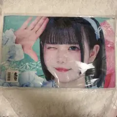 iLiFE! あいす ぬいぐるみ タオル 2点セット iLiFE! あいす ぬいぐるみ タオル 2点セット