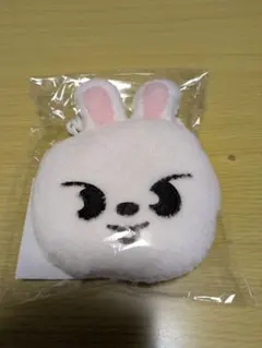 StrayKids スキズ RUN IT Leebit ショルダーポーチ