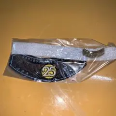 Item thumbnail for item 5c12ba82-b85e-4bbb-b36f-37ed54f9fa11