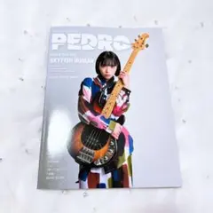 PEDRO ポスター　まとめ売り　21枚！！！ 2026年最新】pedro ポスターの人気アイテム - メルカリ