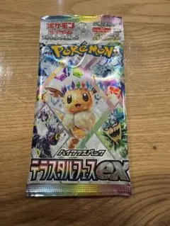 ポケモンカードゲーム テラスタルフェスEXパック