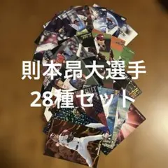 プロ野球チップスカード則本昂大選手28種まとめセット(キラ9種ノーマル14種他)