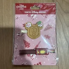 東京ディズニーリゾート クリスマス　ヘアクリップセット