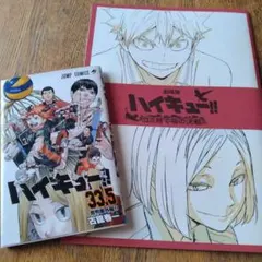 劇場版ハイキュー‼︎ ゴミ捨て場の決戦 入場者特典　パンフレット、33.5巻