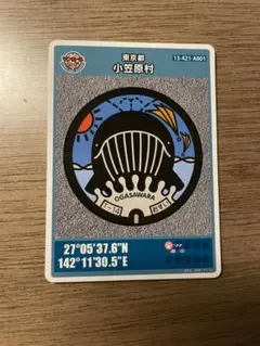 Item thumbnail for item d5652348-ed52-4c85-9f79-a7c02f6d2159