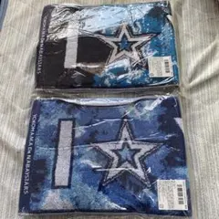 Item thumbnail for item 40e896b7-961f-46c5-b618-6a7aaf2e06ab