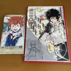 REBORN リボーン　沢田綱吉　雲雀恭弥　天野明展