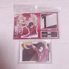 ハイキュー 黒尾鉄朗 アクスタ