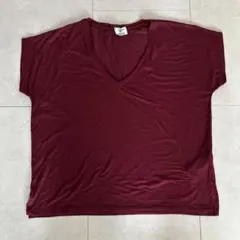 ZARA TRAFALUC Vネック 半袖Tシャツ