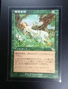 ひじきん様 リクエスト 2点 まとめ商品