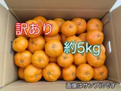 ⭐*︎様 訳あり　青島温州みかん　約5kg箱込み 静岡県産　家庭用　農家直送　0