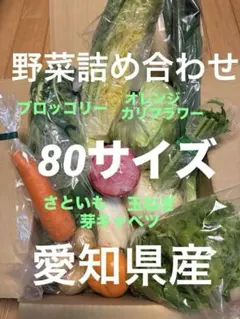 新鮮野菜詰め合わせ80サイズ