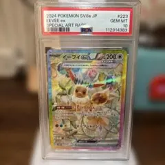 イーブイex SAR SV8a テラスタルフェスex 223/187